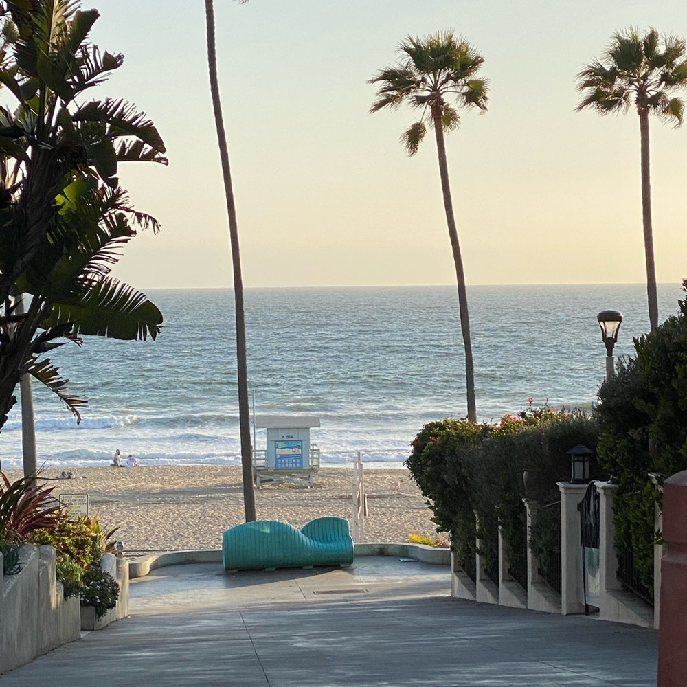 Meet your Posher, Margot